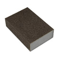 Carborundum Cleaning Sponge with Handle